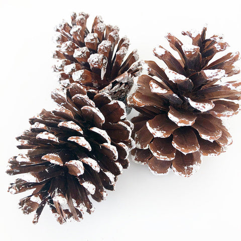 Tray Decor - Frosted Pine Cones (Set of 3)