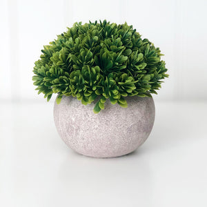 Tray Decor - Stone Pot & Foliage